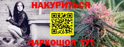 прущие грибы Бийск