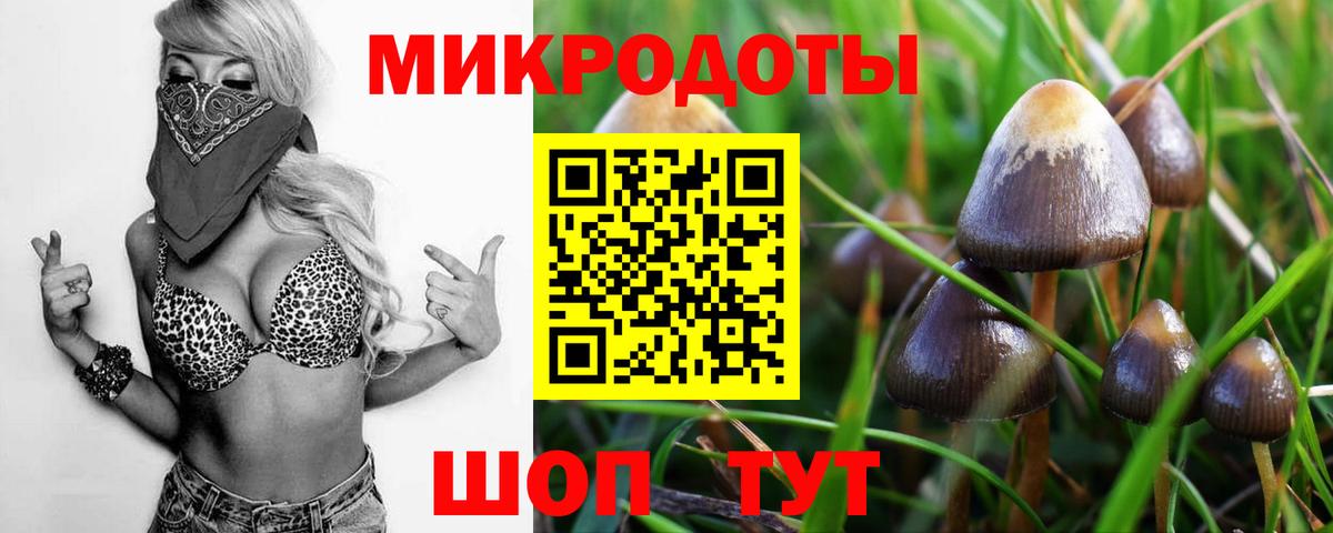 Галлюциногенные грибы GOLDEN TEACHER Туймазы
