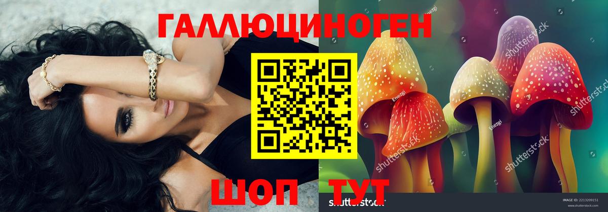 Псилоцибиновые грибы Psilocybe  Вход с VPN  Галлюциногенные грибы Psilocybe  Туймазы 